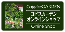 ガーデン コピス 大森プランツ株式会社コピスガーデン 紹介ページ